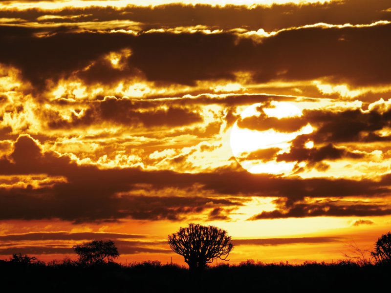 Brennender Himmel über Afrika Markus - stock.adobe.com