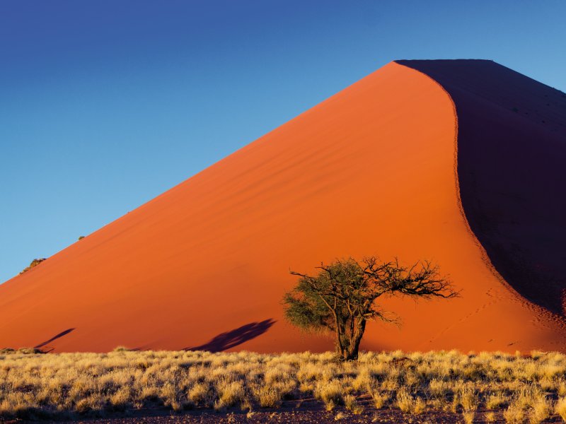 Sonnenuntergang in den Sanddünen in Namibia Iuliia Sokolovska - stock.adobe.com