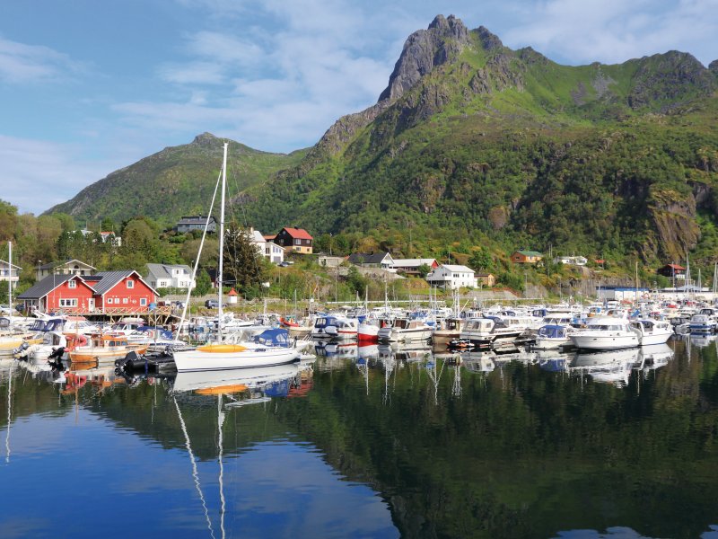 Hafen in Svolvaer Tupungato - stock.adobe.com