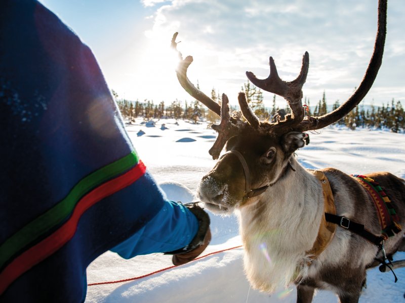 Sami mit Rentier Lola Akinmade Åkerström/imagebank.sweden.se