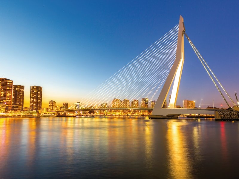 Erasmusbrücke in Rotterdam vichie81-stock.adobe.com
