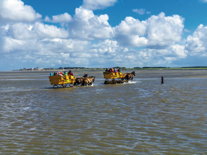 Wattwagenfahrt an der Nordsee InPixKommunikation - fotolia.com