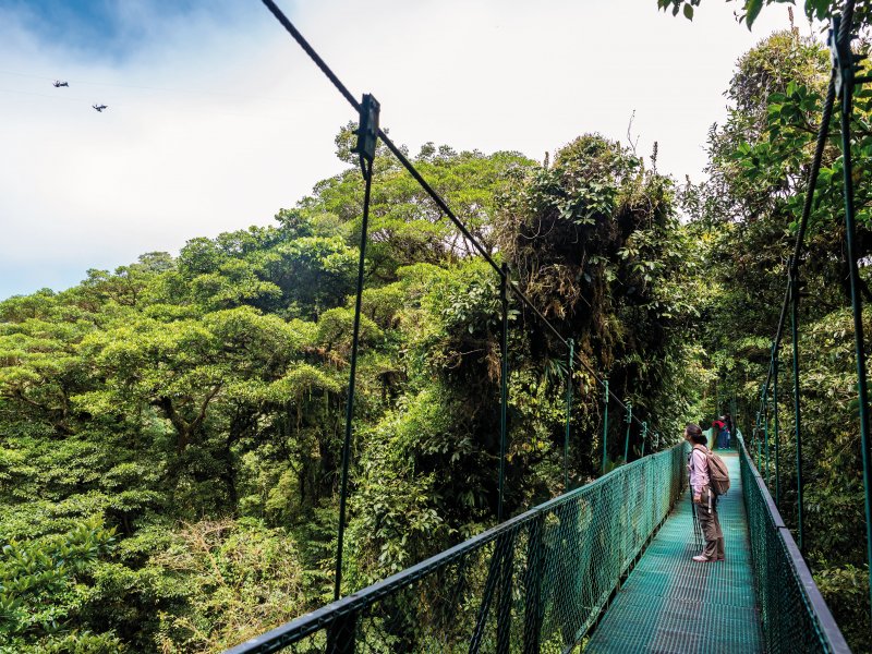 Monteverde Simon Dannhauer - fotolia.com