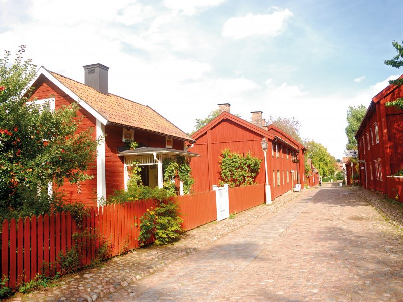 Freilichtmuseum Gamla Linköping nyiragongo - stock.adobe.com