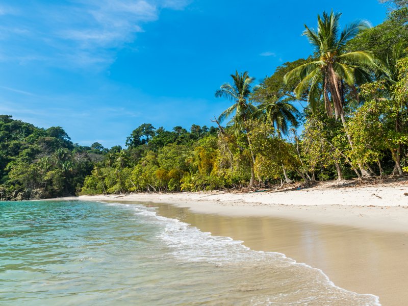 Manuel Antonio Beach Simon Dannhauer - stock.adobe.com