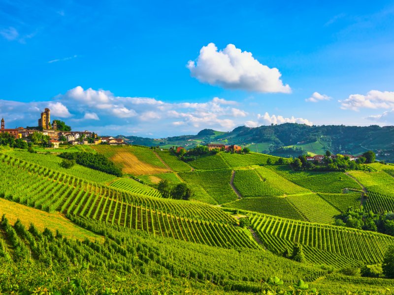 Weinberge in Serralunga d'Alba stevanzz-stock.adobe.com