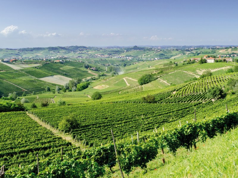 Piemontesische Landschaft Marco Saracco-fotolia.com