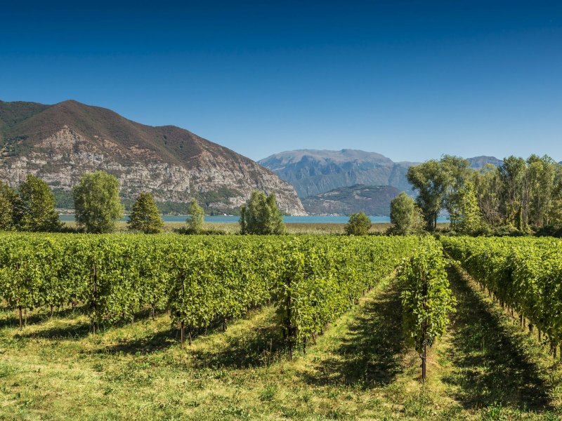 Franciacorta Fabio Cattabiani