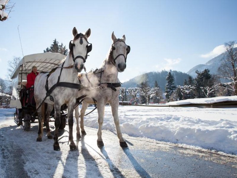 Pferdekutsche Bad Ischl Winter Leitner Daniel