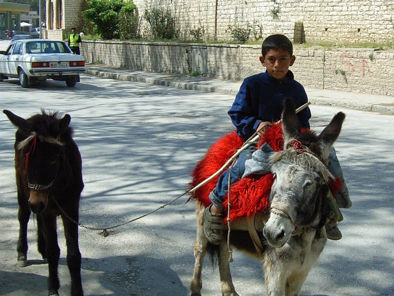 Berat - Junge mit Esel (C) by Caplio GX8 User