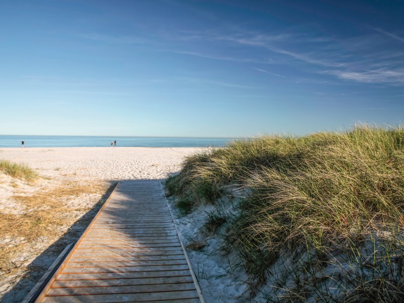 Strand von Dueodde cmfotoworks - stock.adobe.com