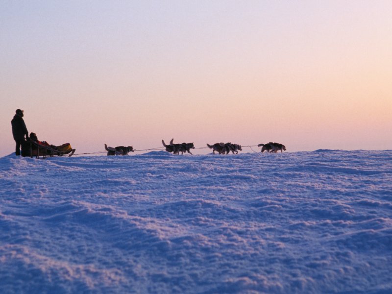 Hundeschlittenfahrt in Lappland FTB