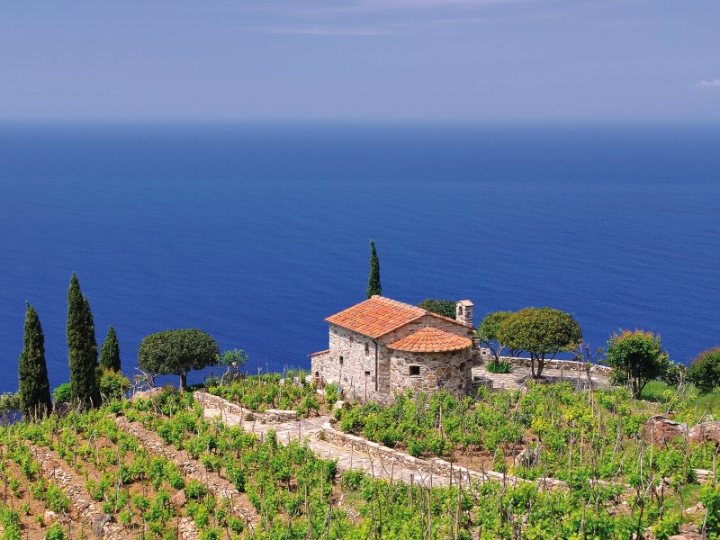 Weingut auf der Insel Elba Peter Eckert