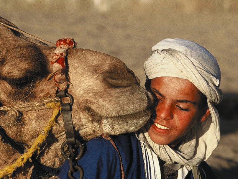 Junge mit Kamel in Marokko FVA Marokko